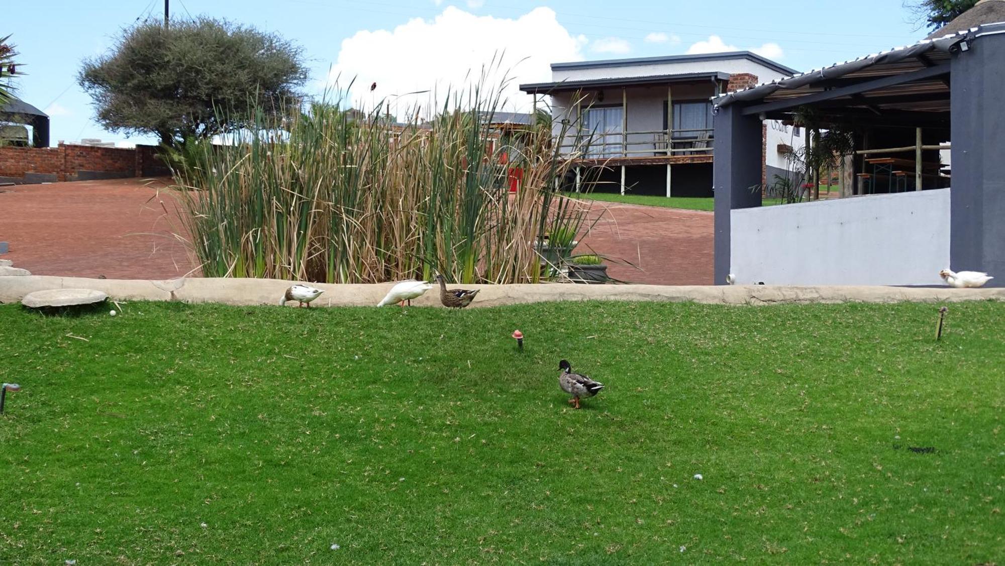 Eden Chalets Windhoek Exterior photo